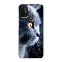 Чохли з Котиками для Motorola MOTO G30 (VPrint) (Сірий Кіт)