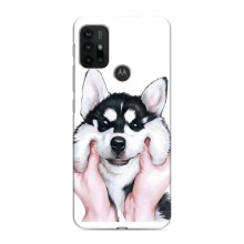Чехлы с собаками для Motorola MOTO G30 (VPrint) (Довольный Хаски)