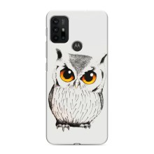 Чехол с птицами на Motorola MOTO G30 (VPrint) (Милая Сова)