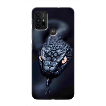 Чехол с картинкой «Хищники» для Motorola MOTO G30 – Змея