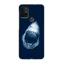 Силиконовый бампер с картинкой животных для Motorola MOTO G30 (Пасть Акулы)
