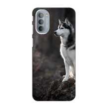Чехол с Хаски для Motorola Moto G31 - (AlphaPrint) (Верный пес)