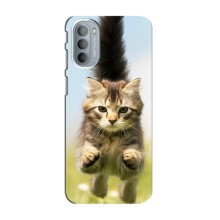 Чехлы с Котиками для Motorola MOTO G31 (VPrint) (Прыжок кота)