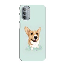 Чехлы с собаками для Motorola MOTO G31 (VPrint) (Корги)