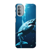 Чехол с картинкой «Хищники» для Motorola MOTO G31 – Акула
