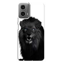 Чехлы с картинками животных Motorola MOTO G34