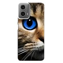 Чохли з Котиками для Motorola MOTO G34 (VPrint) (Око кота)