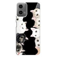 Чохол на Моторола МОТО G34 з Котиками (VPrint) (Погляд котиків)