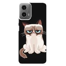 Чохол з принтом для Motorola MOTO G34 (AlphaPrint) Модні коти (Сумний кіт)