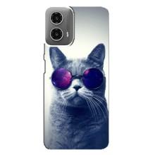 Чохол з принтом для Motorola MOTO G34 (AlphaPrint) Модні коти (Стильний кіт)