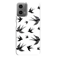 Чохол з пташками на Motorola MOTO G34 (VPrint)