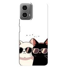 Чехол с рисунком кот на Motorola MOTO G34 – Коты в очках