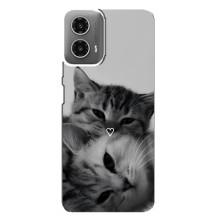 Чехол с рисунком кот на Motorola MOTO G34 – Пара котов