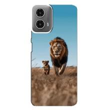 Чохол Король лев на Моторола МОТО G34 (Мусафа і Сімба)