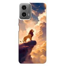 Чохол Король лев на Моторола МОТО G34 (Сімба)