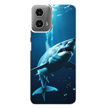 Чехол с картинкой «Хищники» для Motorola MOTO G34 – Акула