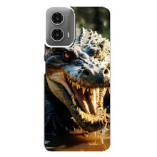 Чехол с картинкой «Хищники» для Motorola MOTO G34 – Крокодил