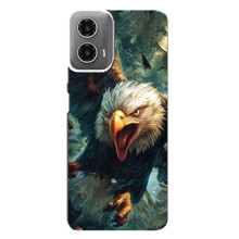 Чехол с картинкой «Хищники» для Motorola MOTO G34 – Орёл