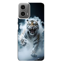 Чехол с картинкой «Хищники» для Motorola MOTO G34 – Тигр