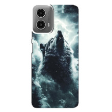 Чехол с картинкой «Хищники» для Motorola MOTO G34