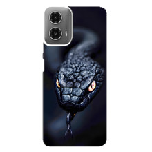 Чехол с картинкой «Хищники» для Motorola MOTO G34 – Змея