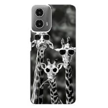 Силиконовый чехол с КАРТИНКАМИ лето для Motorola MOTO G34 (AlphaPrint) – Жирафы в очках