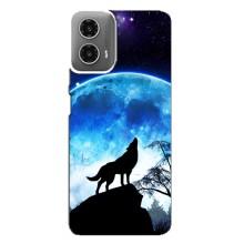 Захисні чохли для Моторола МОТО G34 (AlphaPrint) (ХІТ продаж) ВОВК – Вовк на місяць