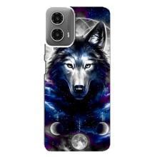 Захисні чохли для Моторола МОТО G34 (AlphaPrint) (ХІТ продаж) ВОВК – Вовк