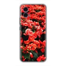 Чохли з квітами для Motorola Moto G35 (VPrint) – Квіти червоні