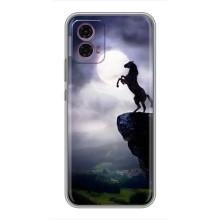 Чехлы с изображением разных животных для Motorola Moto G35 (Лошадь)