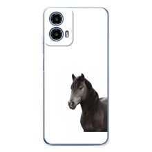Чехлы с Лошадью дляMotorola Moto G35 (VPrint) – Черный Конь