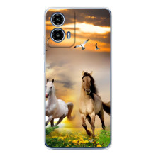Чехлы с Лошадью дляMotorola Moto G35 (VPrint) – Лошадки