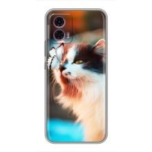 Чехол на Моторола Мото Джи85 с Котами (VPrint) – Котик с бабочкой