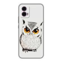 Чохол з пташками на Motorola Moto G35 (VPrint) – Мила Сова
