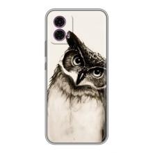 Чохол з пташками на Motorola Moto G35 (VPrint) – Сова