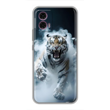 Чехол с картинкой «Хищники» для Motorola Moto G35 – Тигр