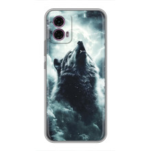 Чехол с картинкой «Хищники» для Motorola Moto G35