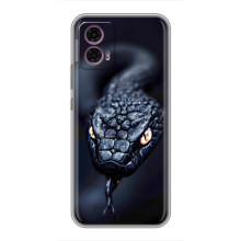 Чехол с картинкой «Хищники» для Motorola Moto G35 – Змея