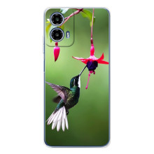 Силиконовый чехол с птичкой на Motorola Moto G35