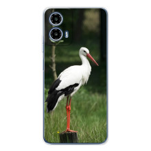 Силиконовый чехол с птичкой на Motorola Moto G35 (Лелека)