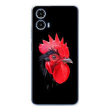 Силиконовый чехол с птичкой на Motorola Moto G35 – Петушок