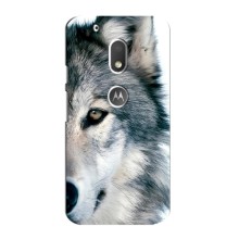 Чехлы с картинками животных Motorola MOTO G4 Play (Волк)