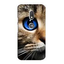 Чехлы с Котиками для Motorola MOTO G4 Play (VPrint) (Глаз кота)
