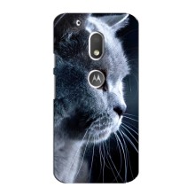 Чехлы с Котиками для Motorola MOTO G4 Play (VPrint) (Серый Кот)