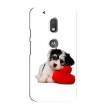 Чехлы с собаками для Motorola MOTO G4 Play (VPrint) (Песик)