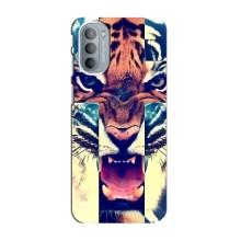 Чехлы с изображением разных животных для Motorola MOTO G41 (Яркий Тигр)