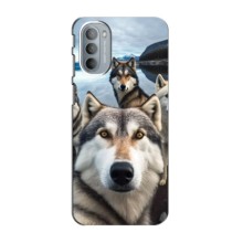 Чехол с Хаски для Motorola MOTO G41 - (AlphaPrint) (Селфи ХАски)