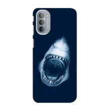 Силиконовый бампер с картинкой животных для Motorola MOTO G41 (Пасть Акулы)