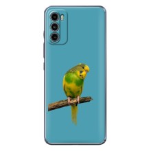 Силиконовый чехол с птичкой на Motorola MOTO G42 (Попугайчик)