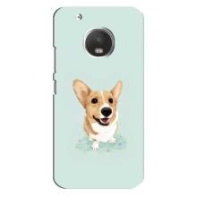 Чехлы с собаками для Motorola MOTO G5 Plus (VPrint) (Корги)